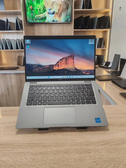 DELL Latitude 5420